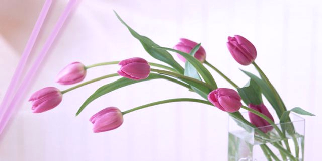 あなたが負っている責任はどんなもの